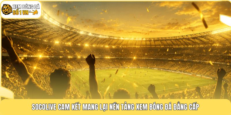 Điều Khoản Dịch Vụ Socolive 3 Socolive cam kết mang lại nền tảng xem bóng đá đẳng cấp